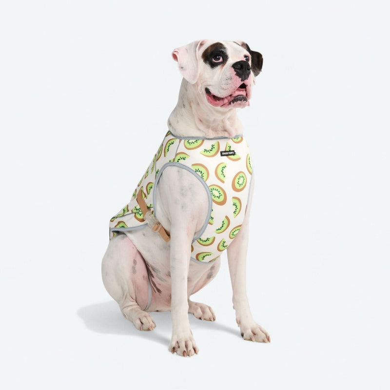 犬用クーリングベスト - キウイ