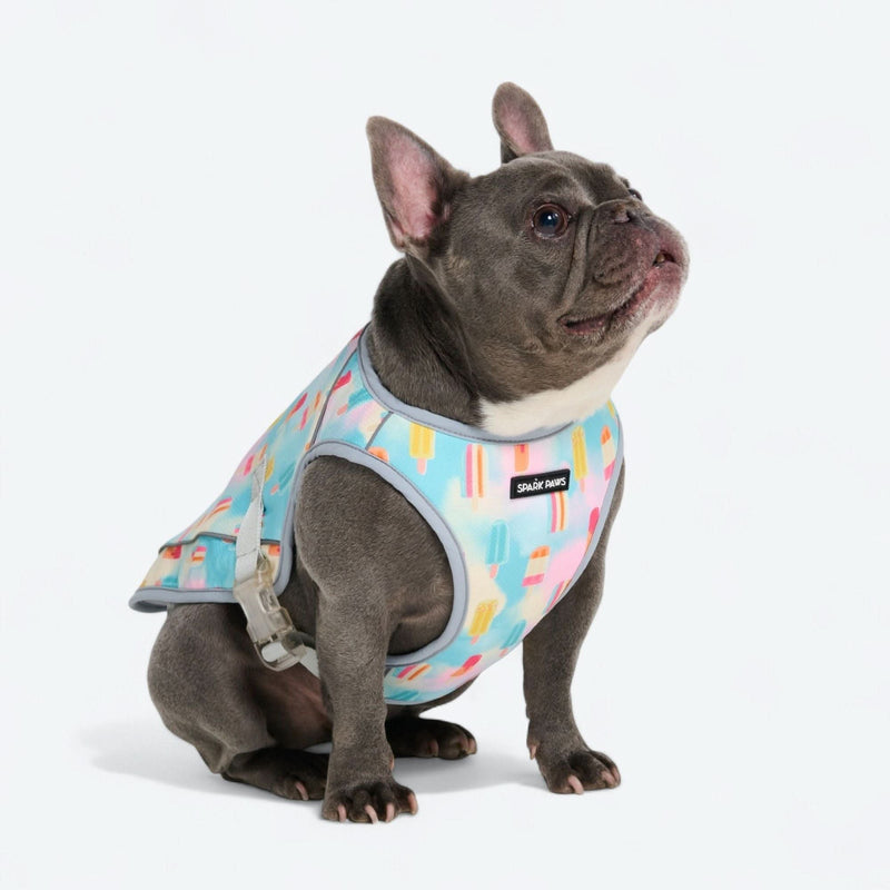 犬用クーリングベスト - アイスキャンディー