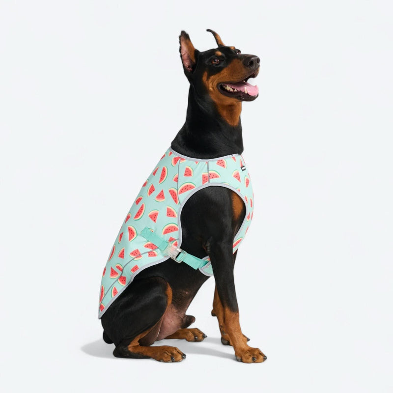 犬用クーリングベスト - スイカ