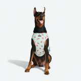 Watermelon Cooling Vest