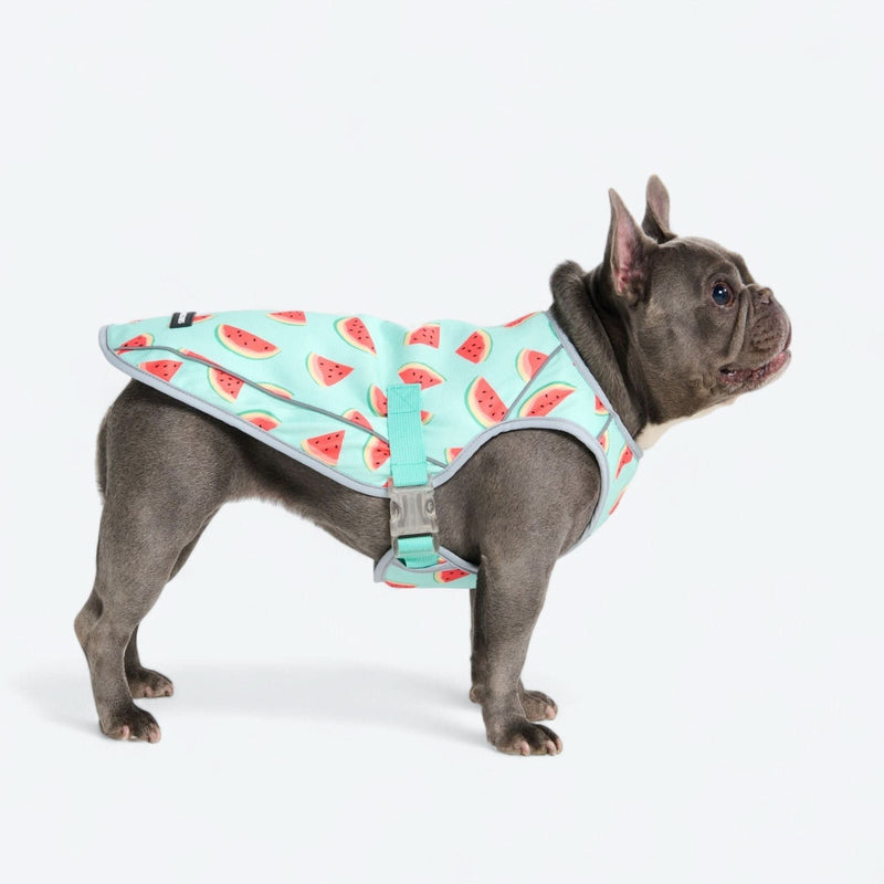 犬用クーリングベスト - スイカ