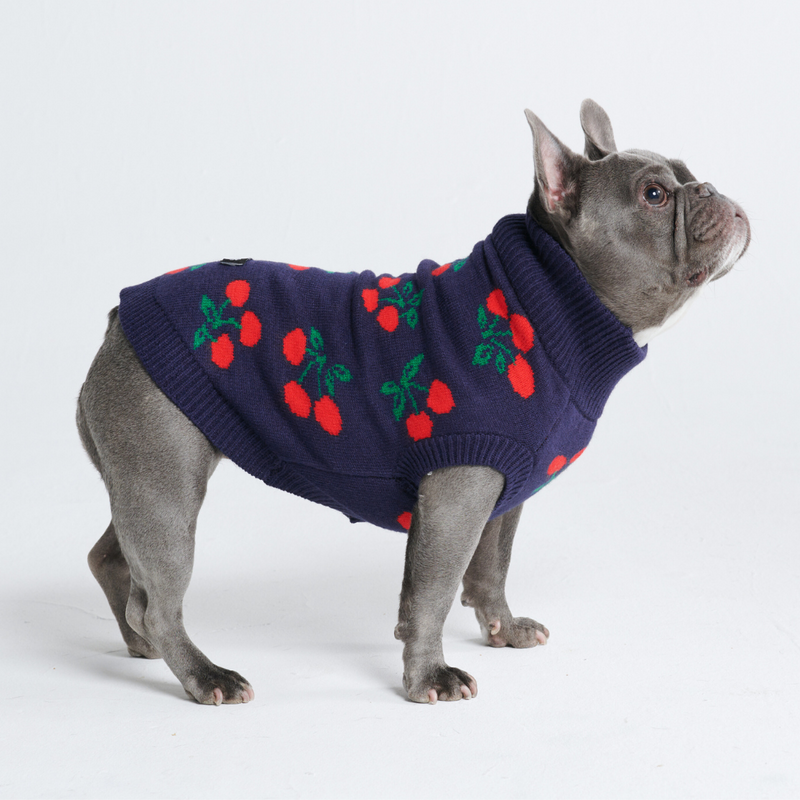 編み犬用セーター - チェリー
