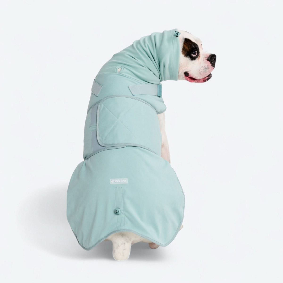 リラックスしている犬 不安軽減リラックススーツ – SPARK PAWS