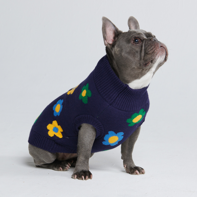 編み犬用セーター - 青緑黄色の花
