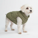 Olive Warmshield Jacket||size:M