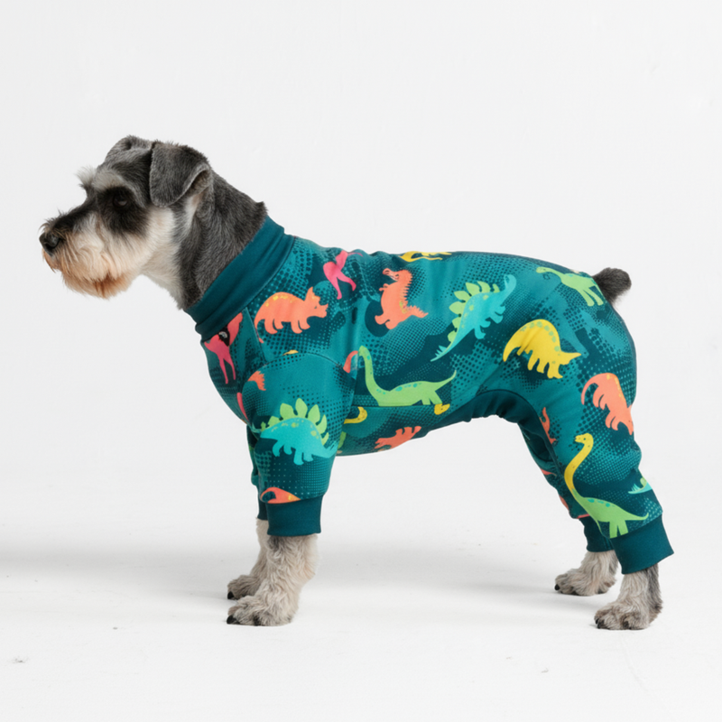 Dinosaurs PJ||size:M