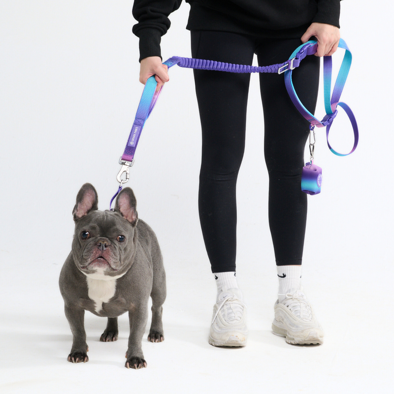 90s Retro Neoprene Leash