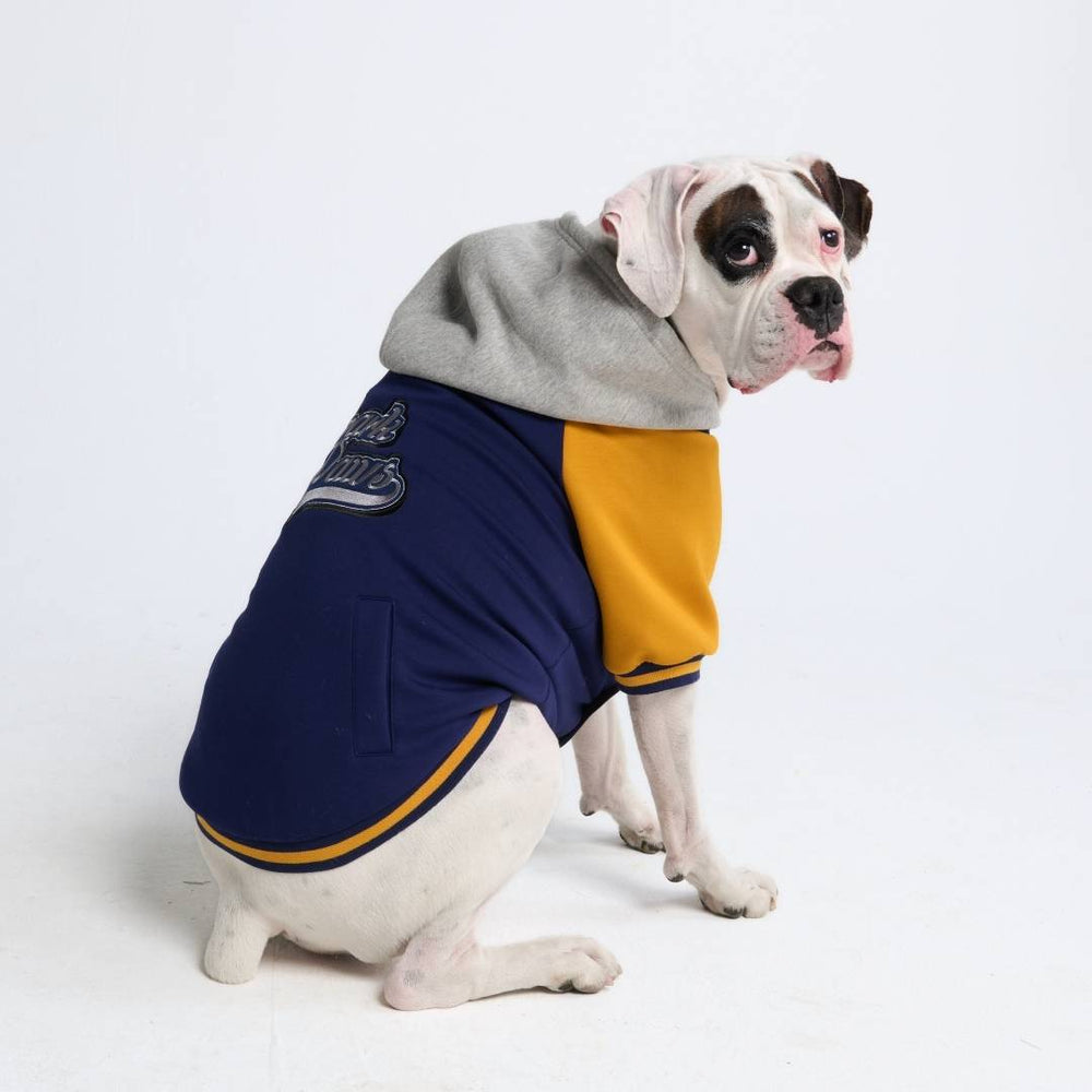 犬服 | 犬服犬用アパレル |犬のパーカーと衣装 |スパークポーズ