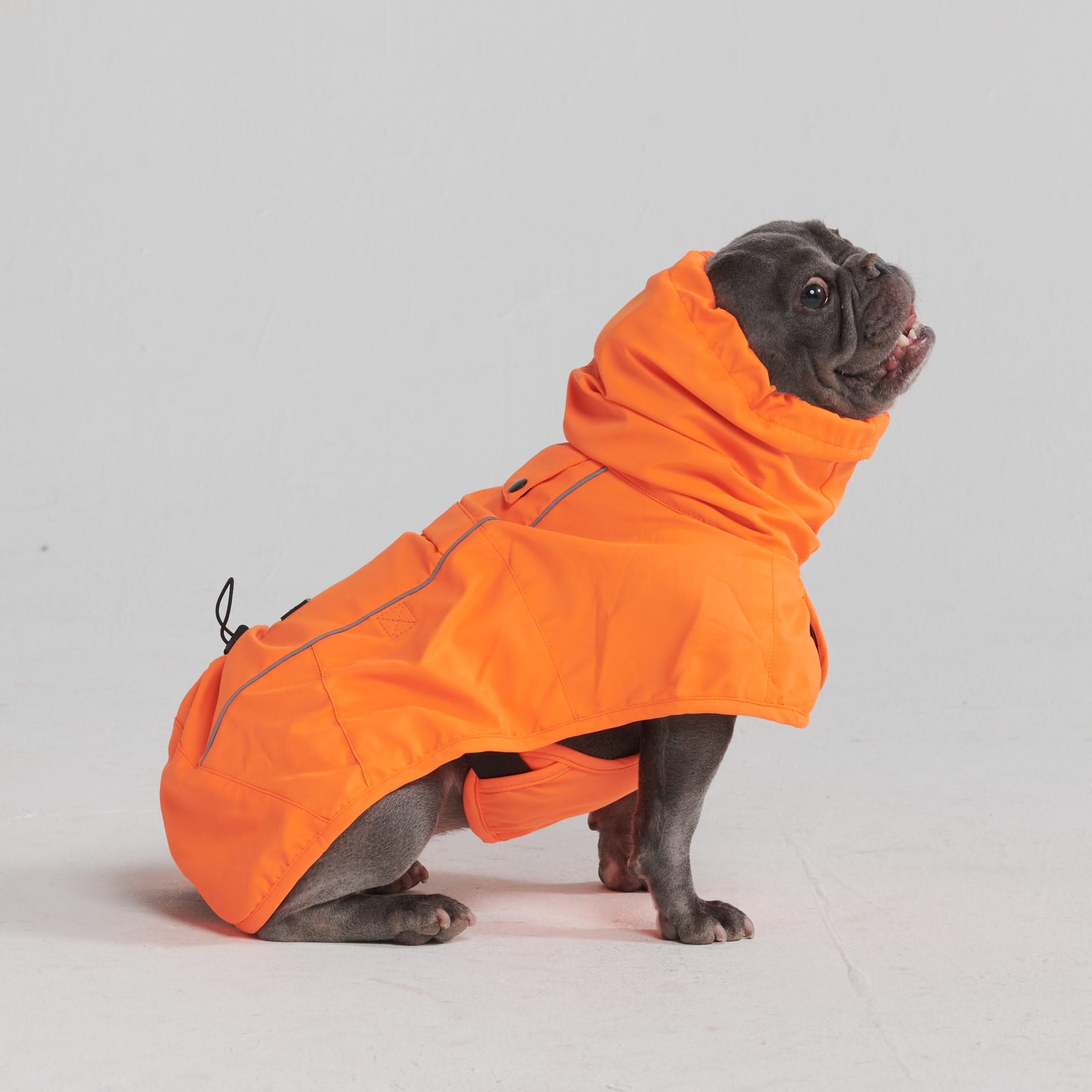 Breatheshield™ 犬用レインコート - ネオンオレンジ – SPARK PAWS