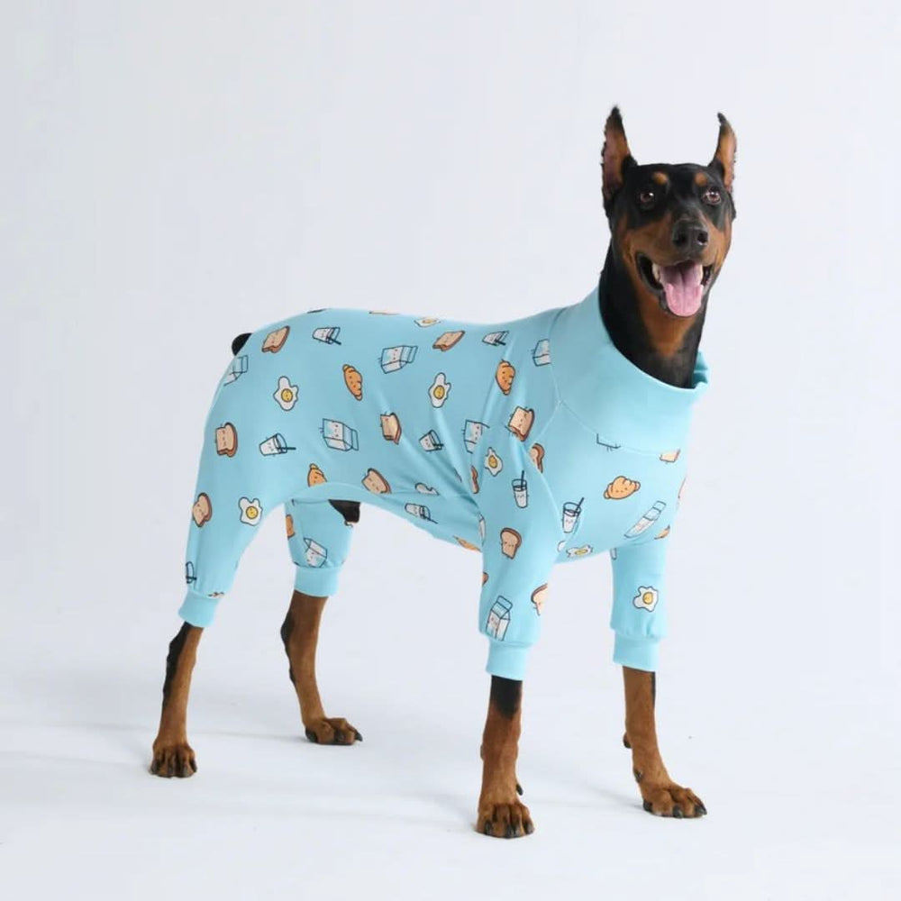 Birdog pajamas setup / バードッグパジャマセットアップ 人間用パジャマ トップ - ブレックファスト - ブルー – SPARK PAWS