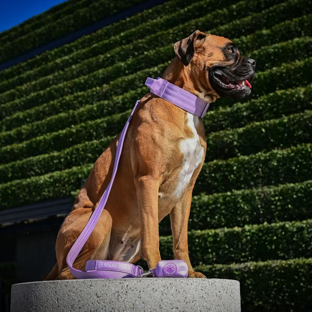 Leash and Poop Bag Holder Set – SPARK PAWS