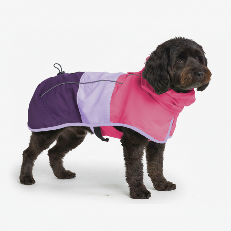 Breatheshield™ ドッグ レインコート – SPARK PAWS