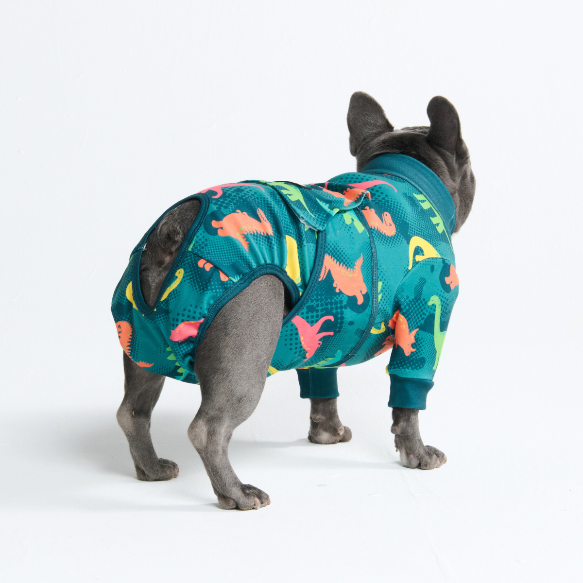 スパークパウズ犬の服、チェーン、首輪、その他 – SPARK PAWS