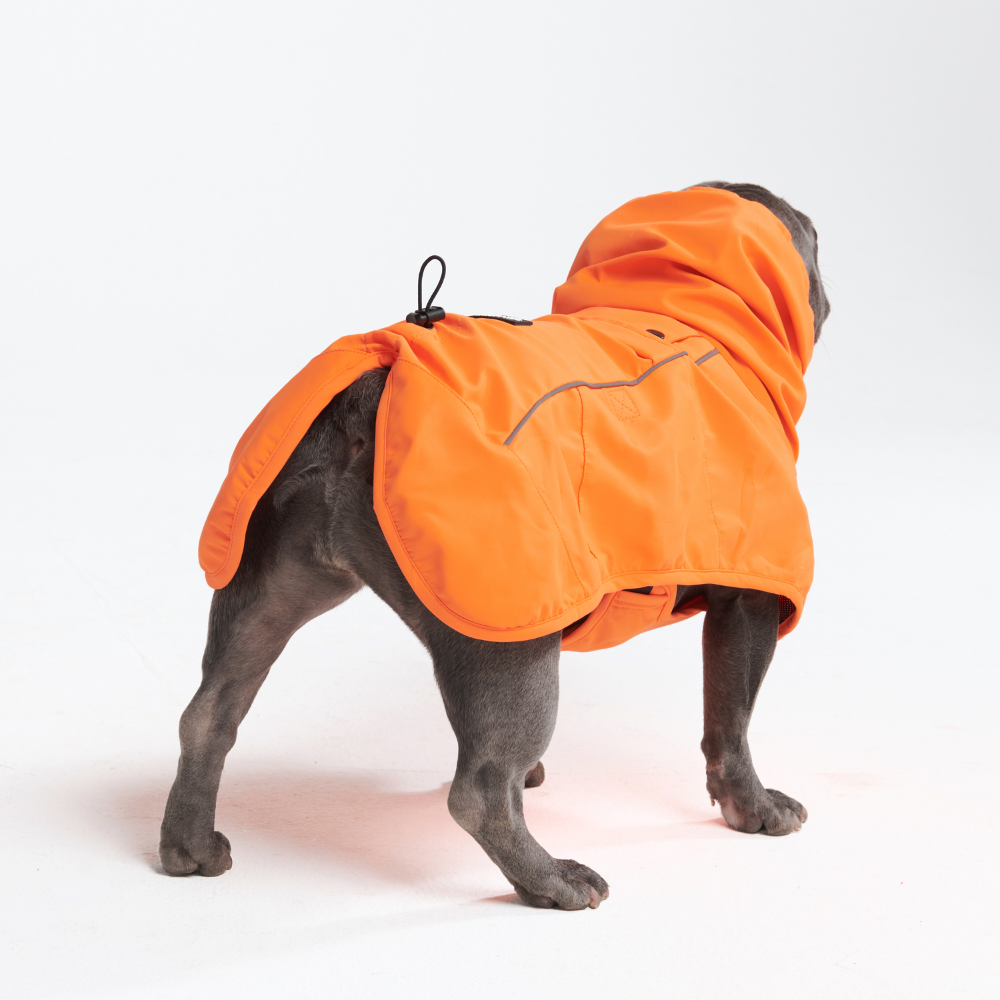 Breatheshield™ 犬用レインコート - ネオンオレンジ – SPARK PAWS