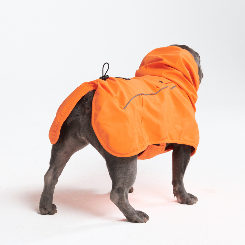 Breatheshield™ 犬用レインコート - ネオンオレンジ – SPARK PAWS