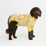 Sunshine Surgical Suit||size:2XL