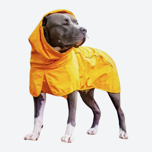 犬用レインコート ジャケット – SPARK PAWS
