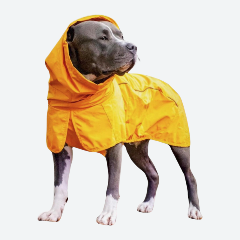 ALPHAICON 蛍光イエロー 犬用レインコート ALPHAICON [アルファ