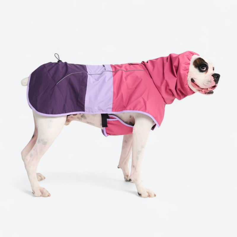 Breatheshield™ ドッグ レインコート – SPARK PAWS