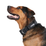 戦術的な犬用首輪 - ブラック