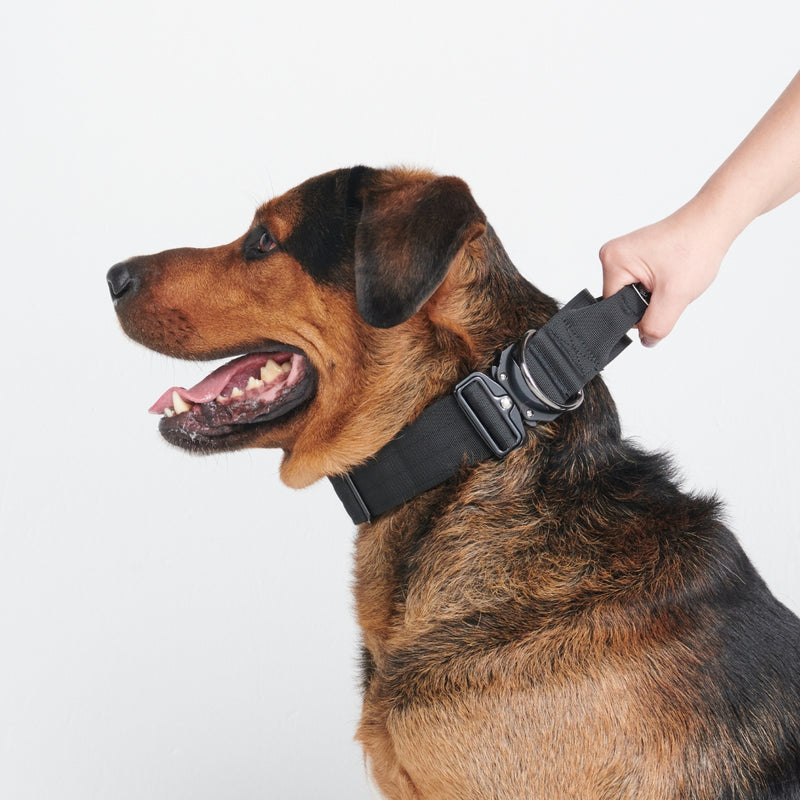 戦術的な犬用首輪セット - ブラック