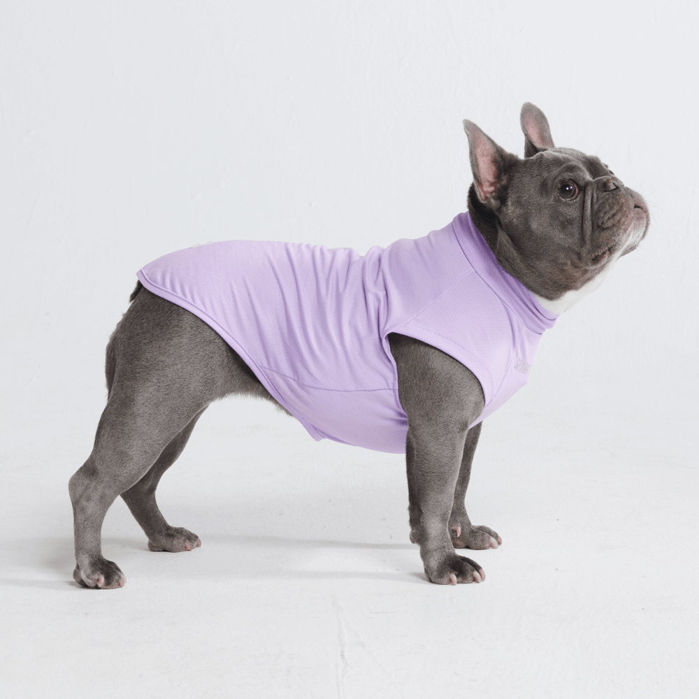 日焼け止め犬用Tシャツ – SPARK PAWS