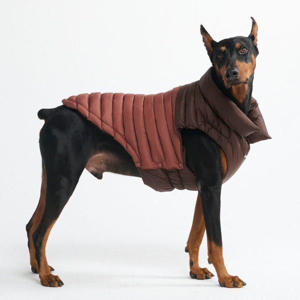 スパークパウズ犬の服、チェーン、首輪、その他 – SPARK PAWS