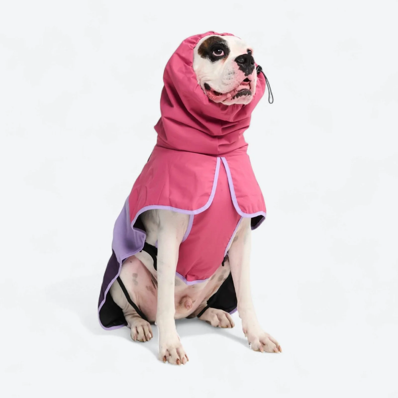 Breatheshield™ ドッグ レインコート – SPARK PAWS