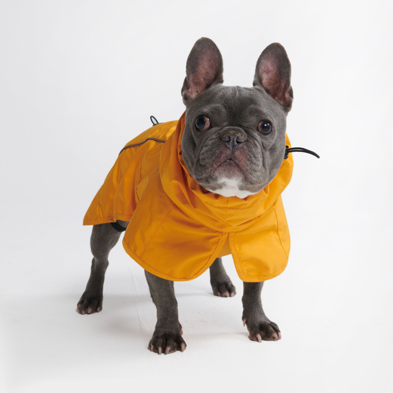 ブレスシールド™ 犬用レインコート - マスタードイエロー – SPARK PAWS ブレスシールド™ 犬用レインコート - マスタードイエロー – SPARK PAWS