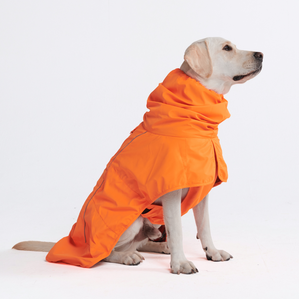 Breatheshield™ 犬用レインコート - ネオンオレンジ – SPARK PAWS