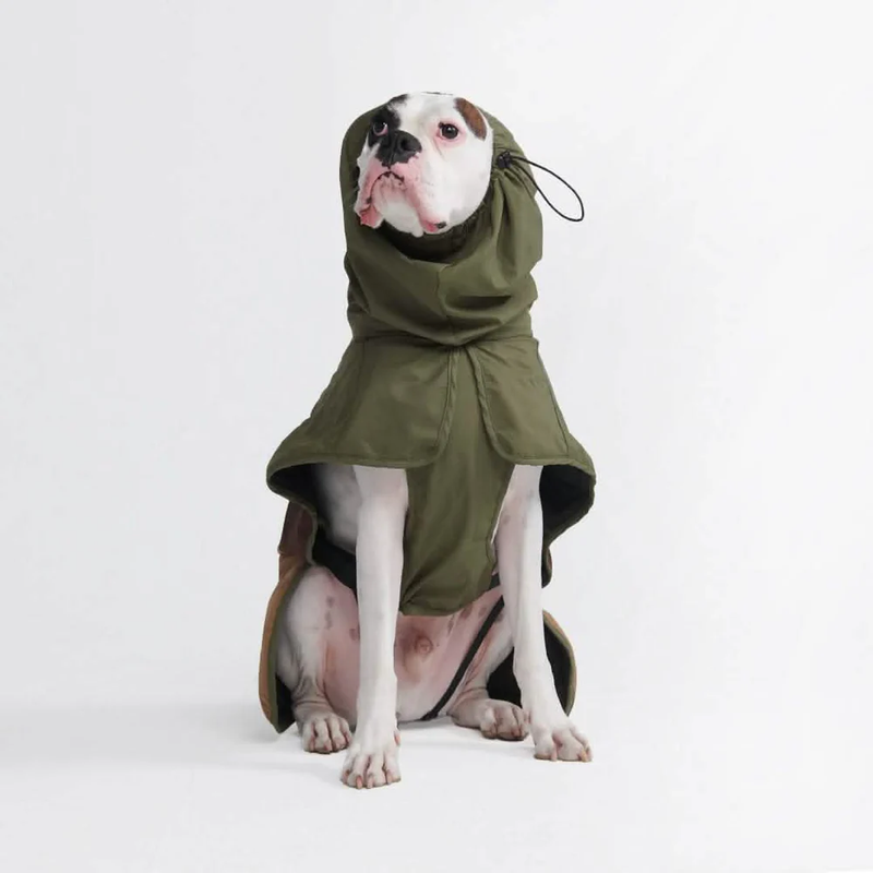 ブレスシールド™ 犬用レインコート - グリーン ブラウン タン – SPARK PAWS