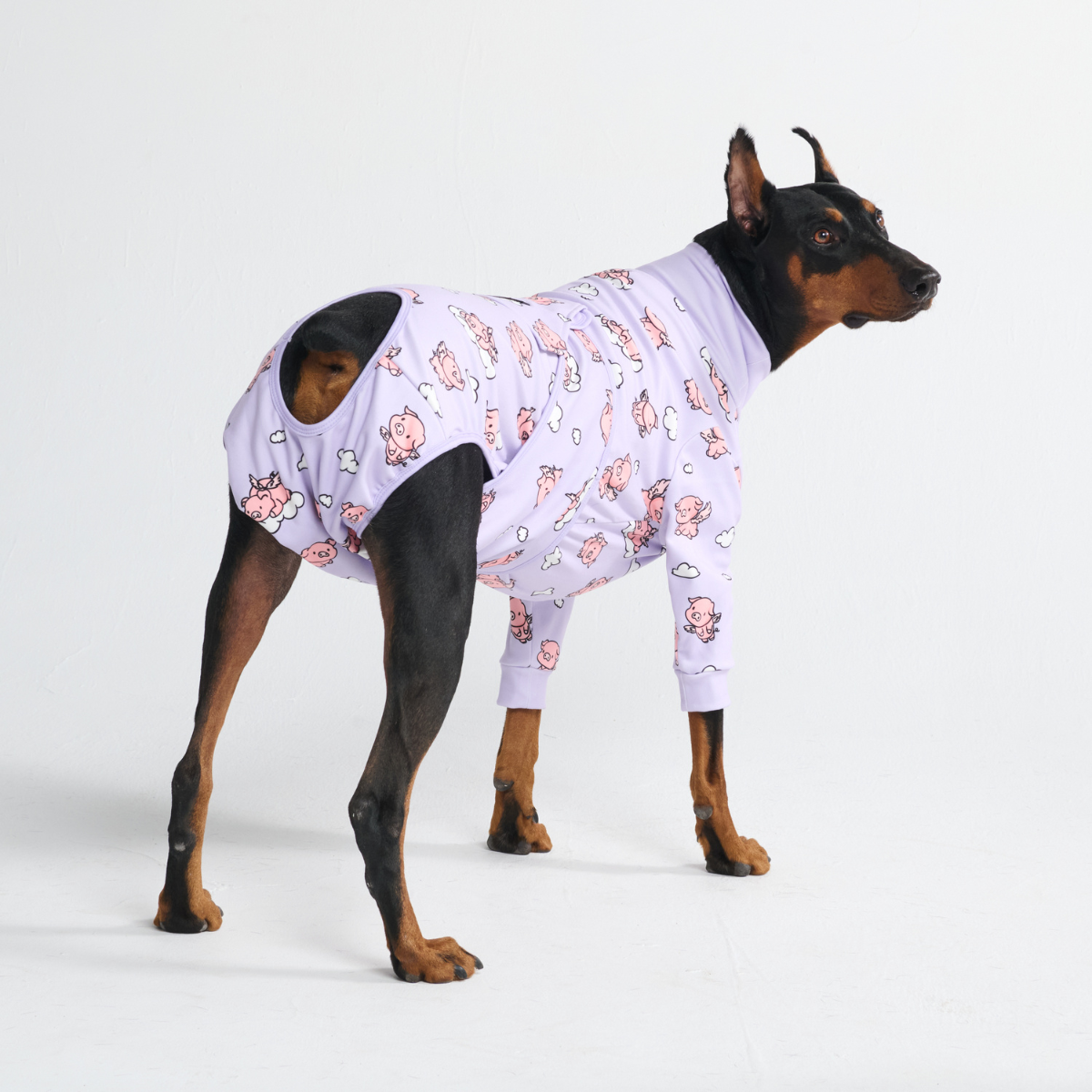 犬用パジャマ ワンジー – SPARK PAWS