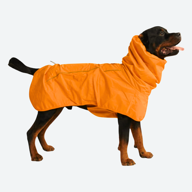 Breatheshield™ 犬用レインコート - ネオンオレンジ – SPARK PAWS