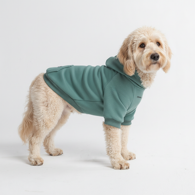 All-Terrain Duck Insulated Dog Jacket Coat – SPARK PAWS