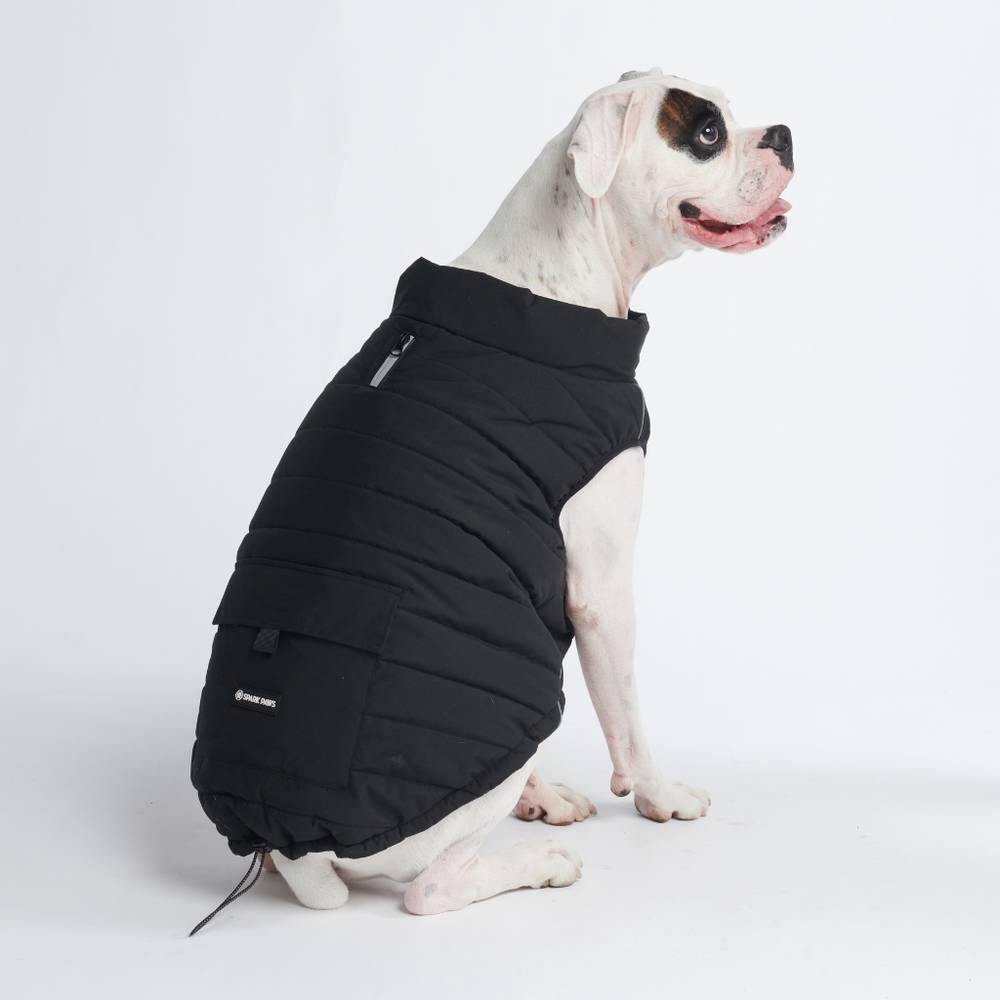 犬用冬用ジャケット |プレミアムベストなど – SPARK PAWS