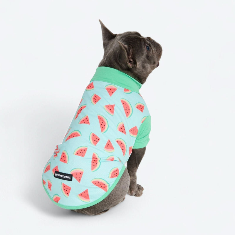 Watermelon Shirt