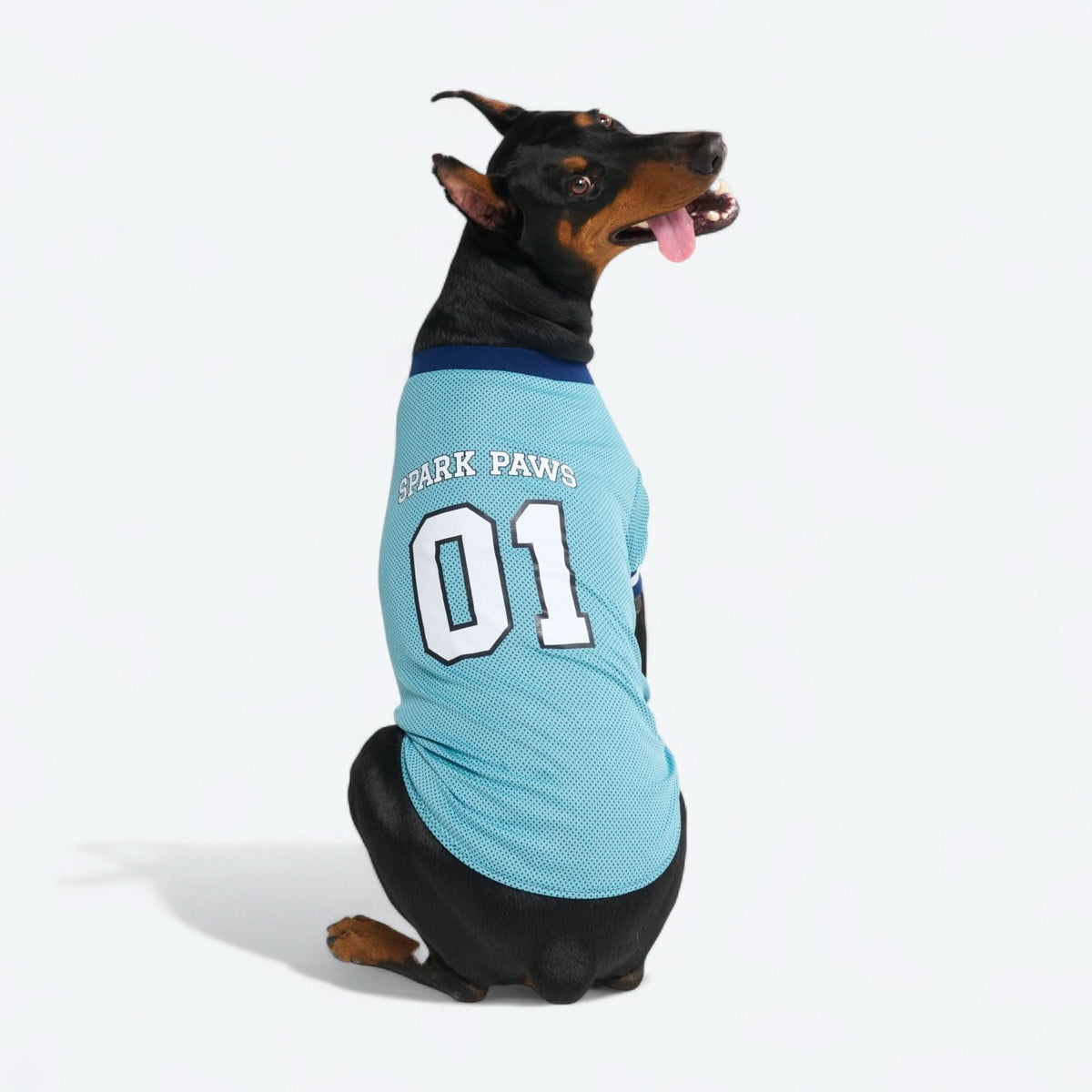 犬服 | 犬服犬用アパレル |犬のパーカーと衣装 |スパークポーズ
