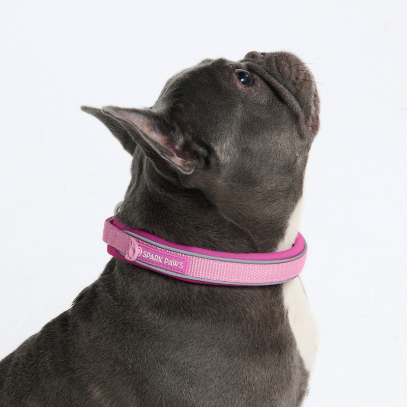 Pink Collar||size:A,B