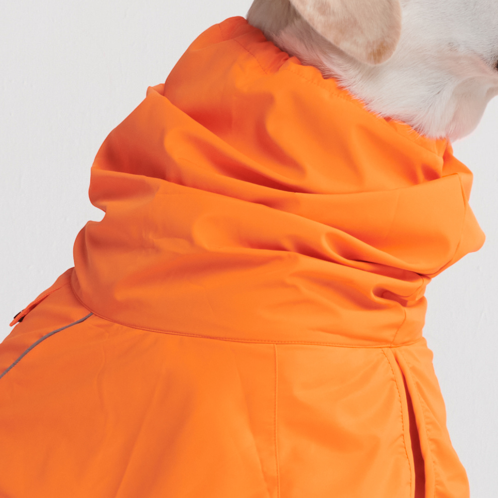 Breatheshield™ 犬用レインコート - ネオンオレンジ – SPARK PAWS