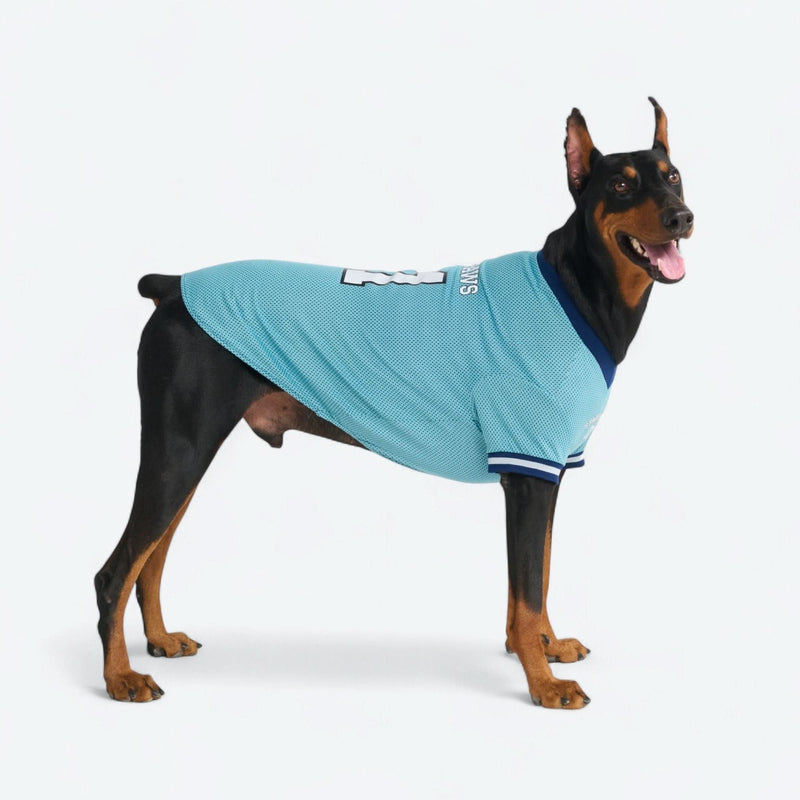 Blue Football Jersey