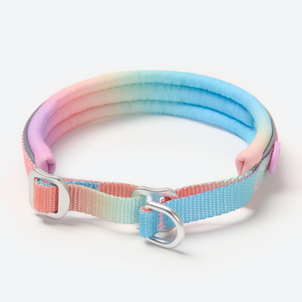 Pastel Icing Martingale Collar||size:A,B