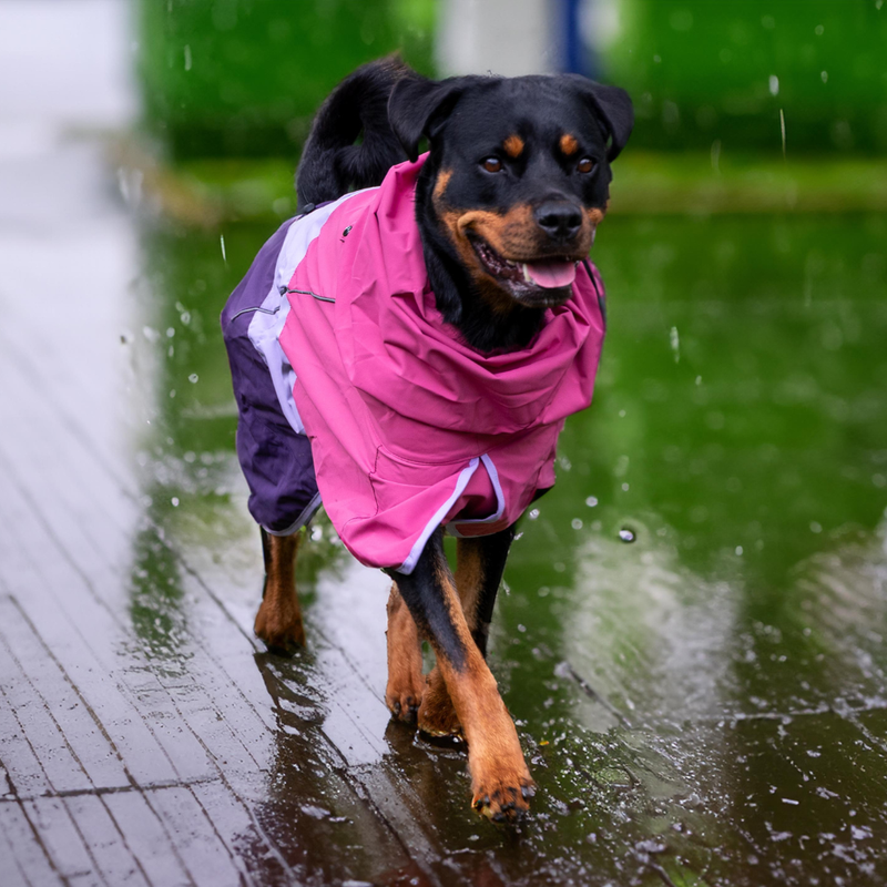 Breatheshield™ ドッグ レインコート – SPARK PAWS
