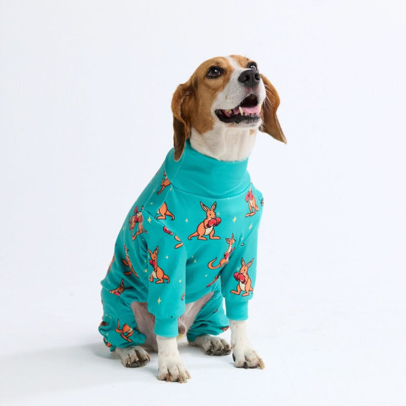 犬用パジャマ - ボクシング カンガルー - ブルー