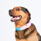 戦術的な犬用首輪 - パステルアイシング