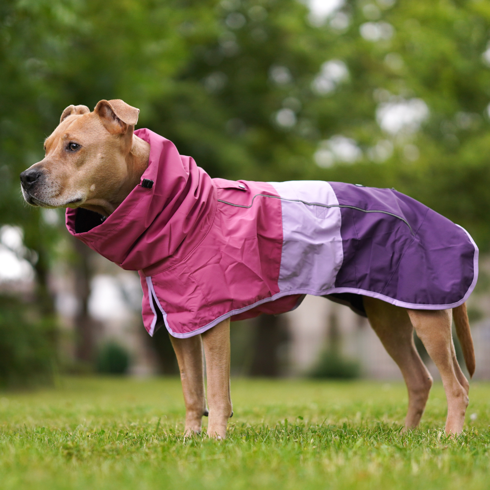 Breatheshield™ ドッグ レインコート – SPARK PAWS