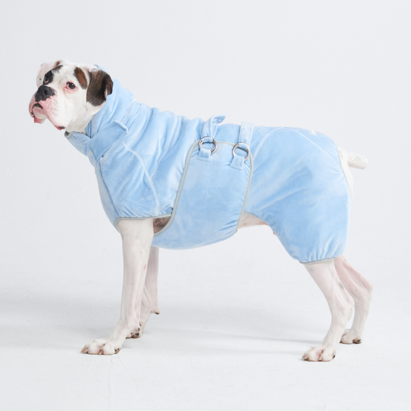 10分間乾燥した犬用バスローブ