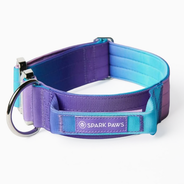 444.dogs専用 ビッグドッグウォークコレクション – SPARK PAWS