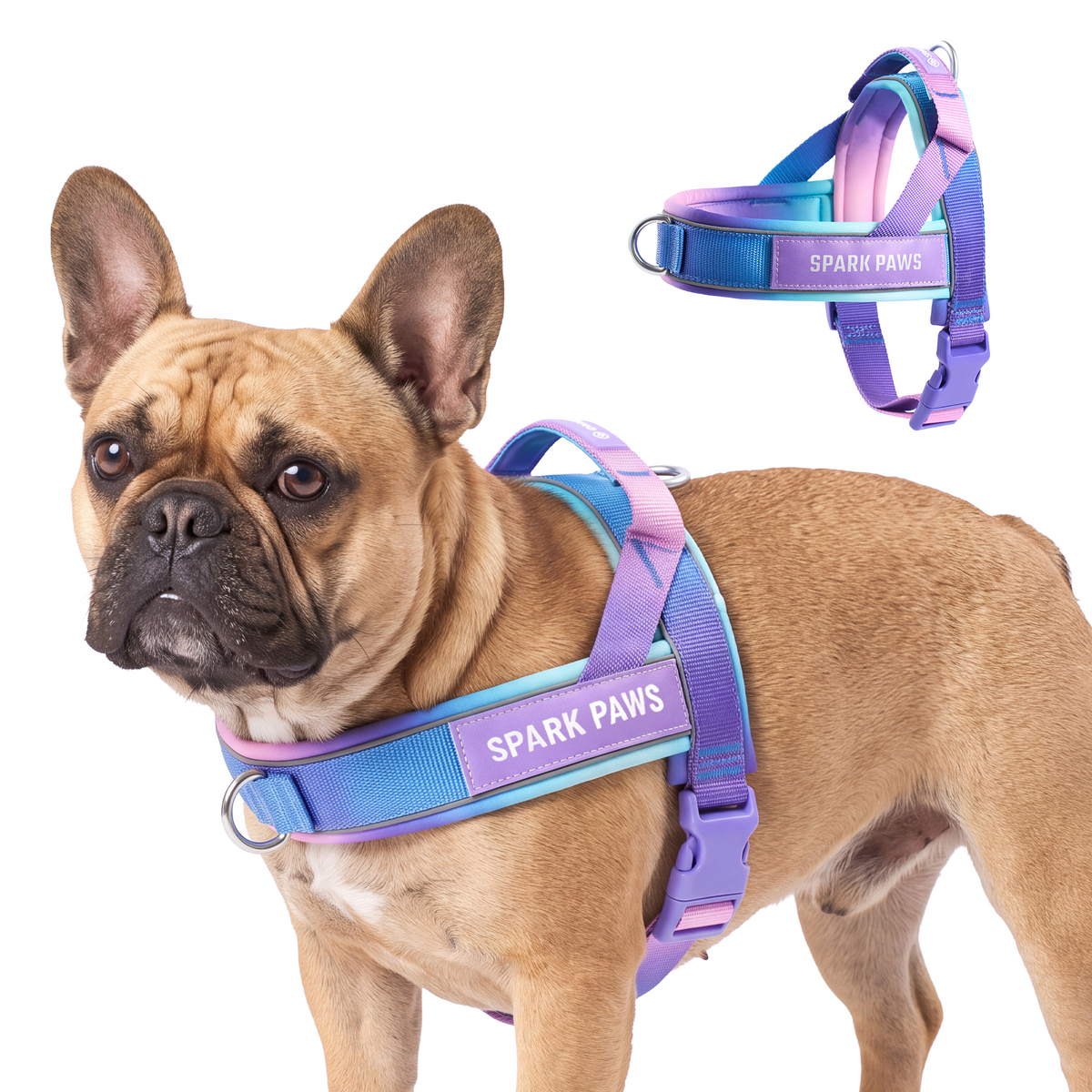 スパークパウズ犬の服、チェーン、首輪、その他 – SPARK PAWS