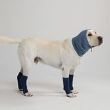 不安鎮静犬イヤーマフプロテクター - ネイビー