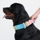 戦術的な犬用首輪 - パステルアイシング